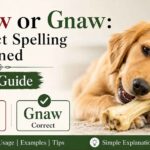 Knaw Or Gnaw