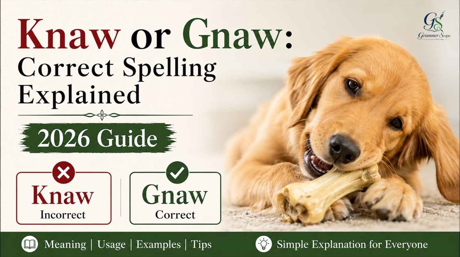 Knaw Or Gnaw