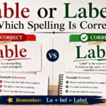 Lable or Label