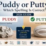 Puddy or Putty: Which Spelling Is Correct? (2026 Guide)