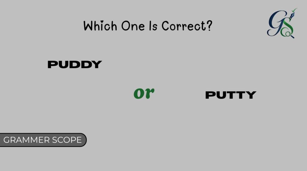 Puddy or Putty
