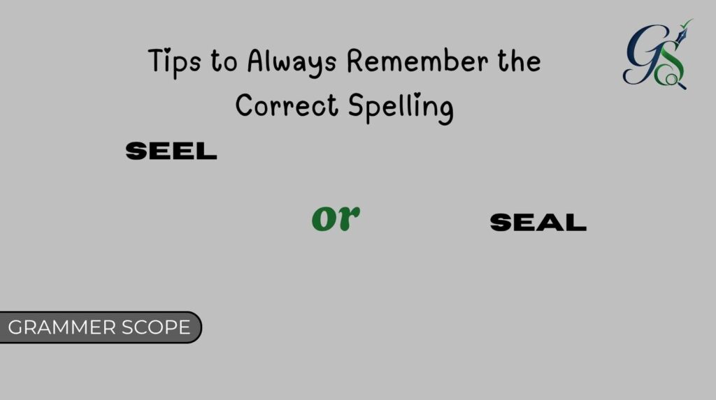 Seel or Seal