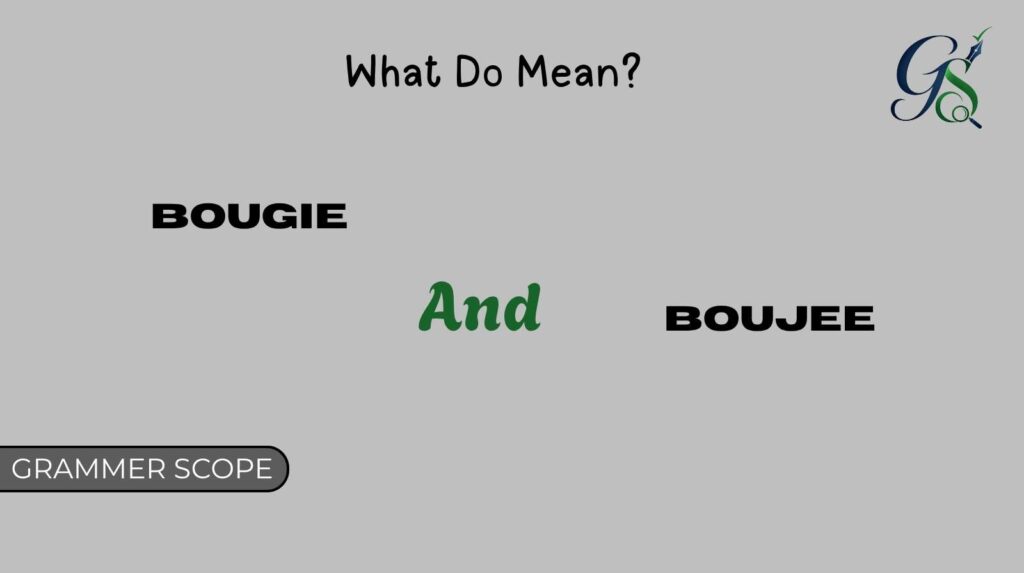 Bougie and Boujee