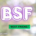 BSF Meaning