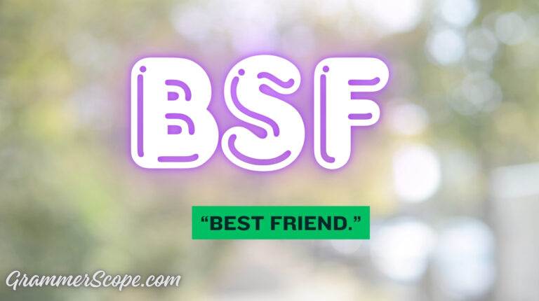 BSF Meaning