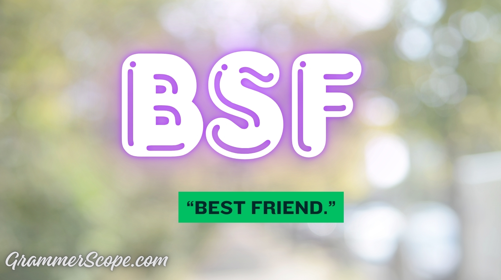 BSF Meaning