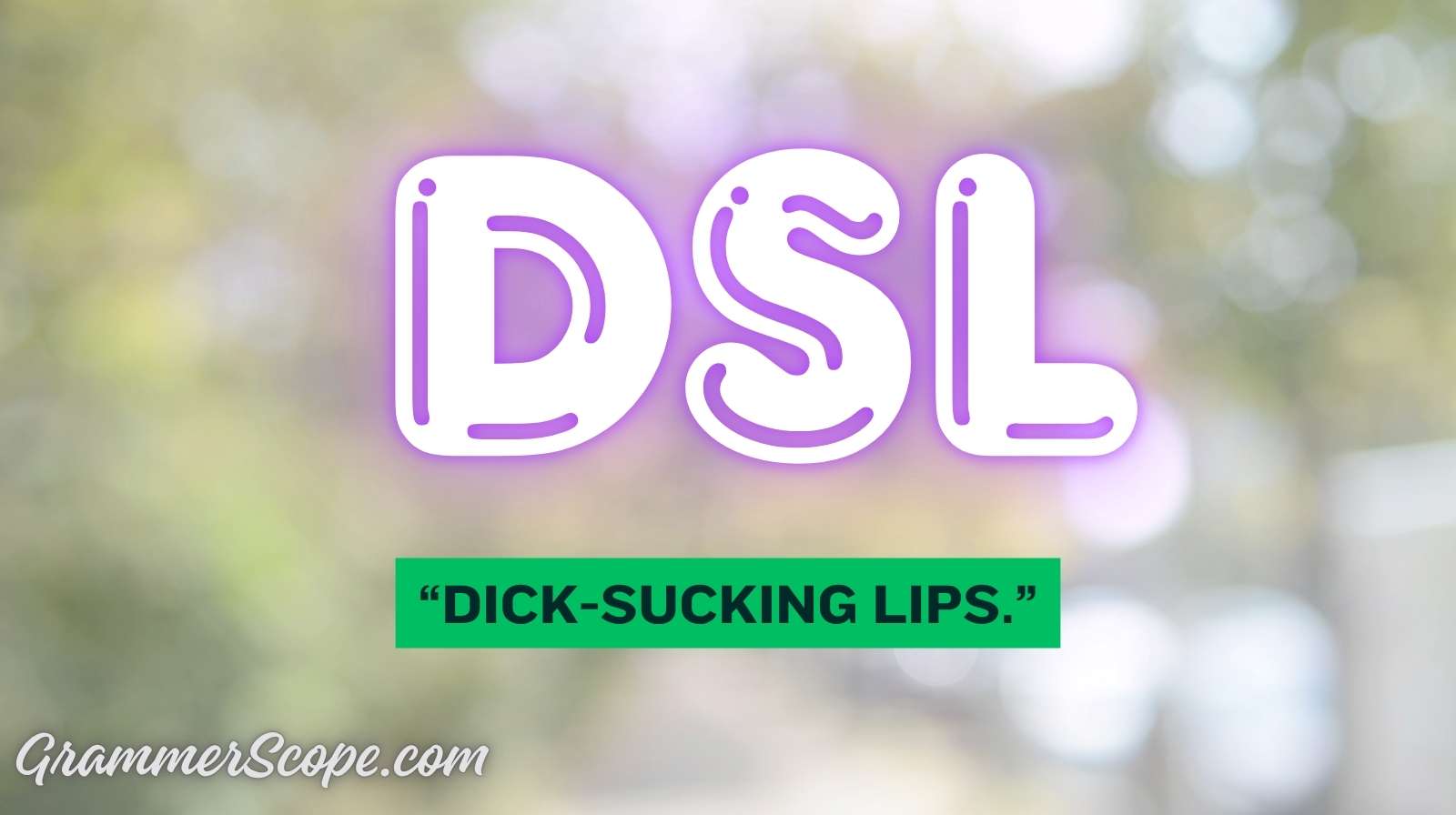 DSL Slang Meaning