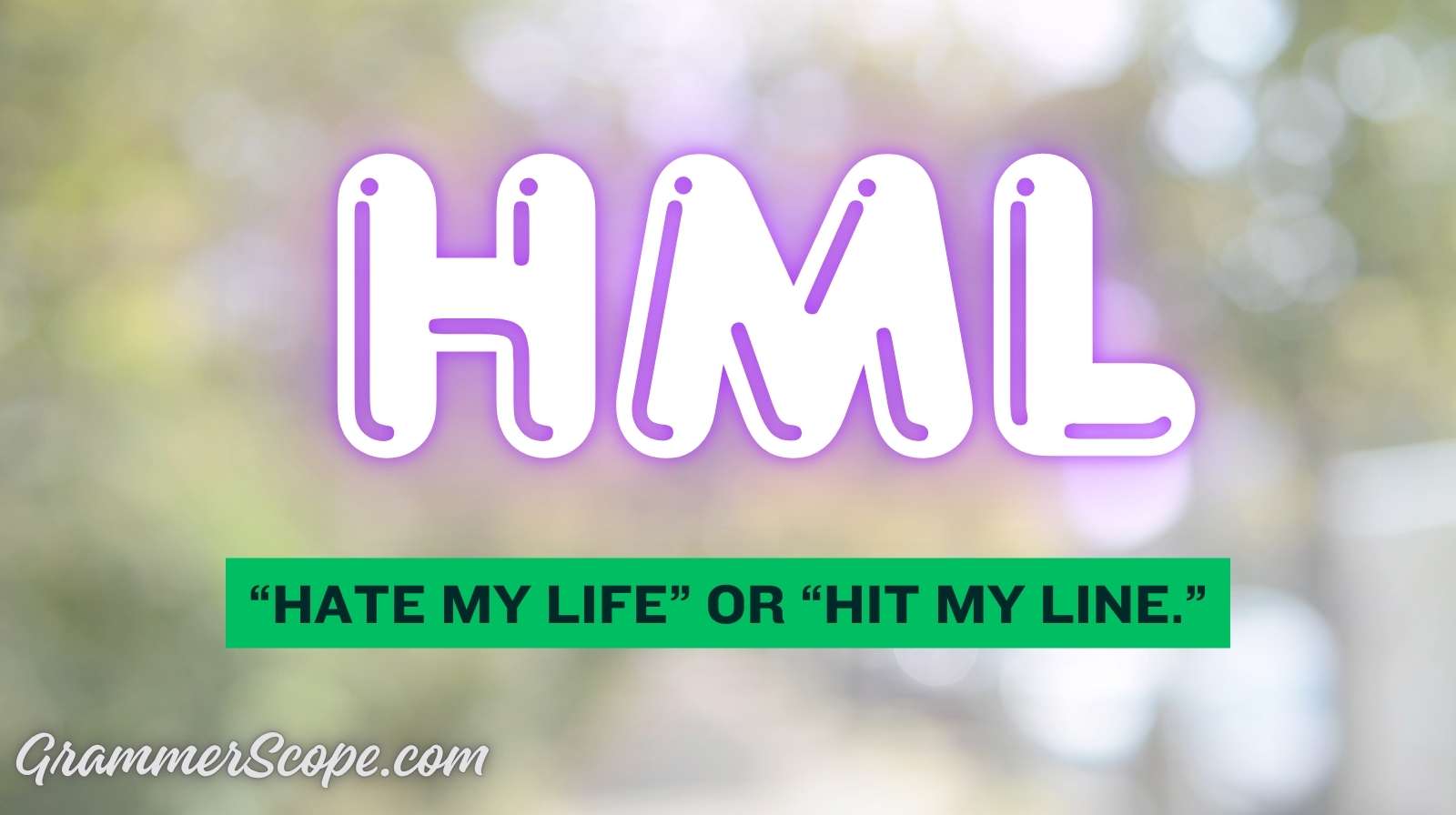 HML Meaning