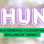 Hun Meaning
