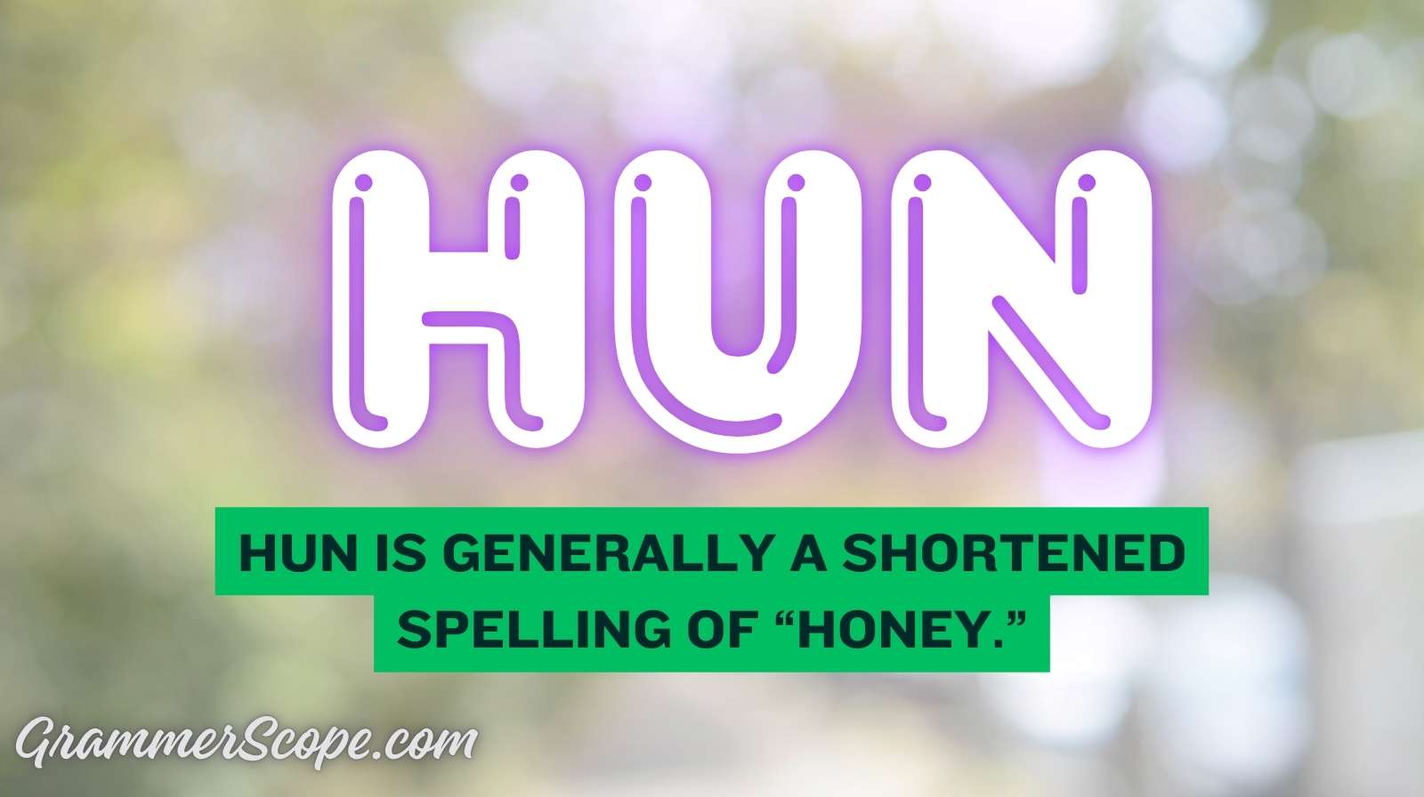 Hun Meaning