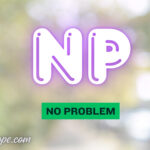NP Meaning