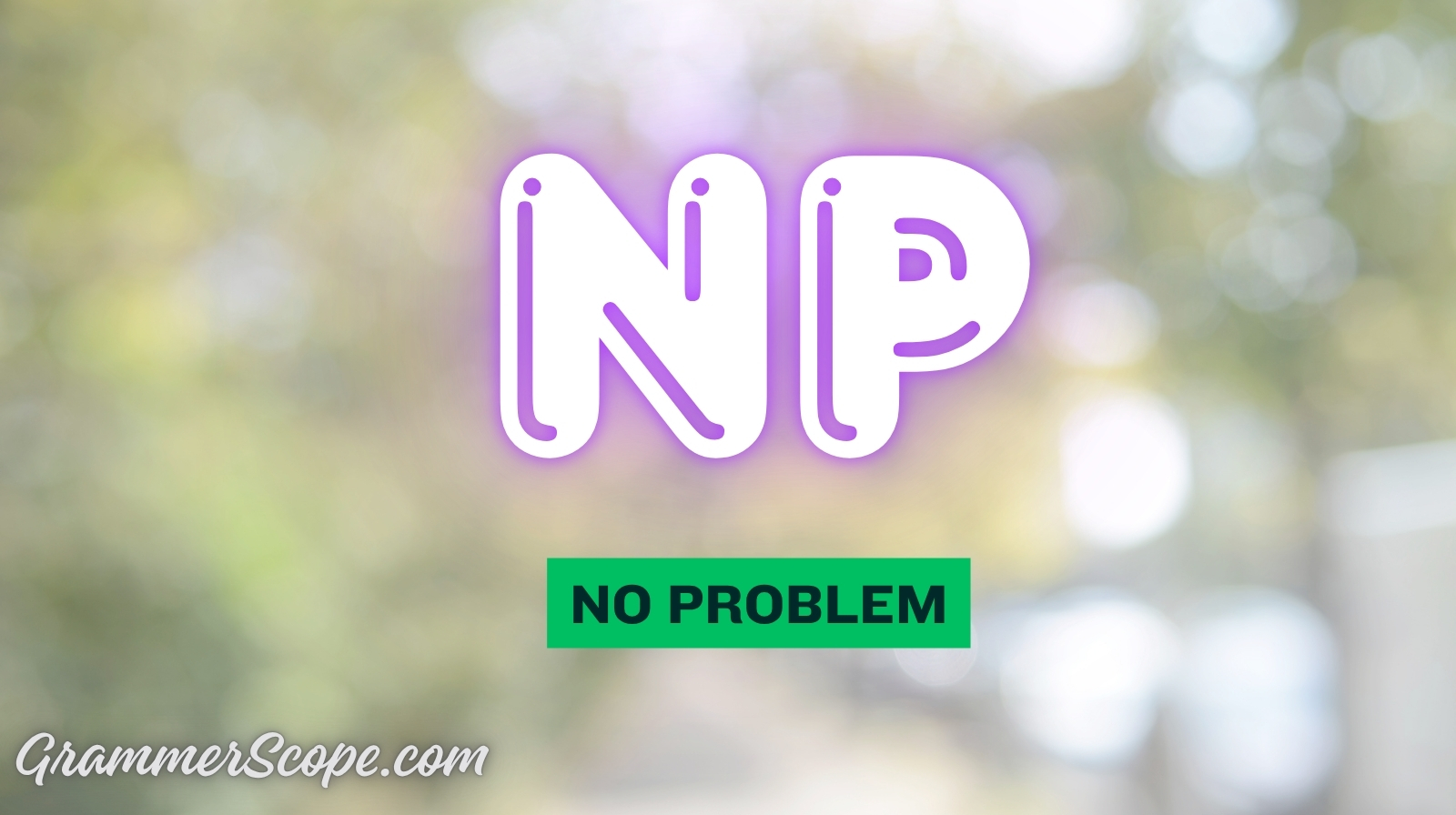 NP Meaning