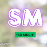 SM Meaning