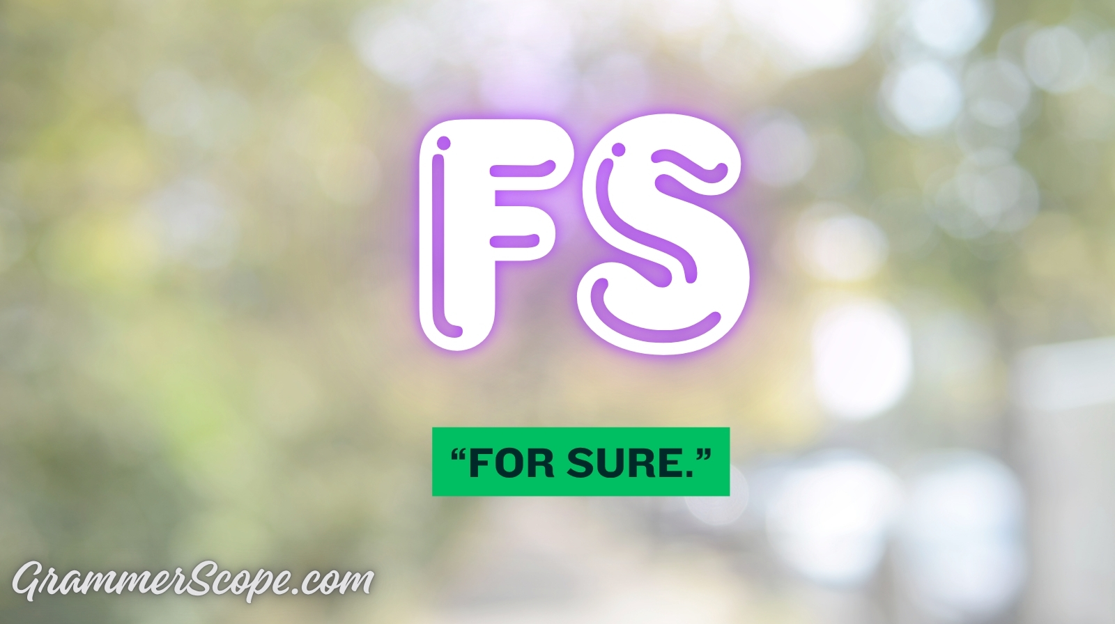What Does FS Mean