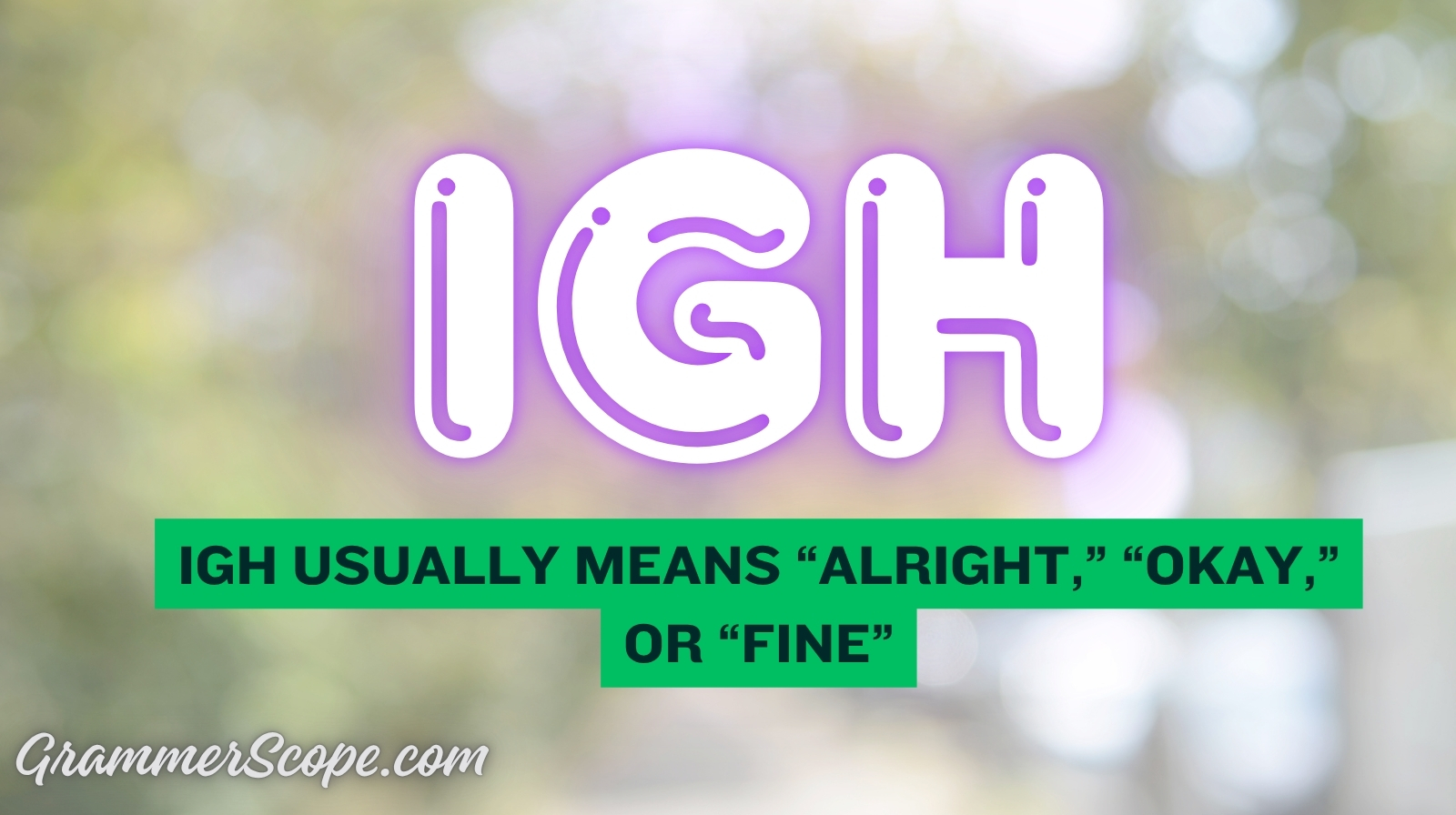 What Does IGH Mean