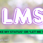 What Does LMS Mean