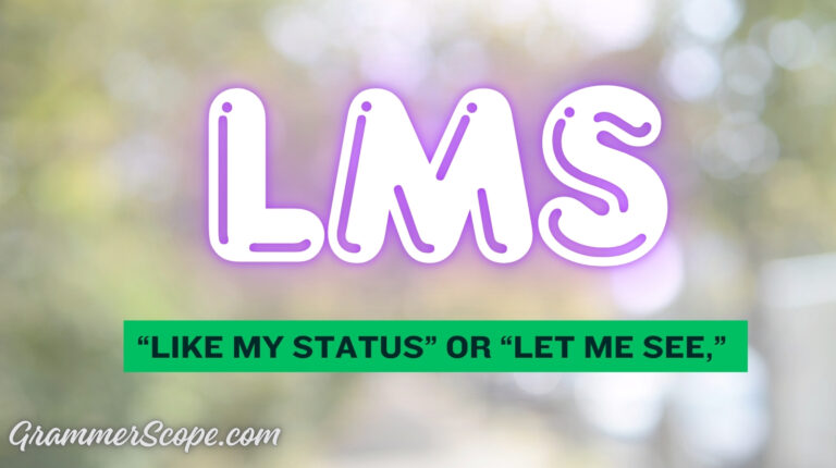 What Does LMS Mean