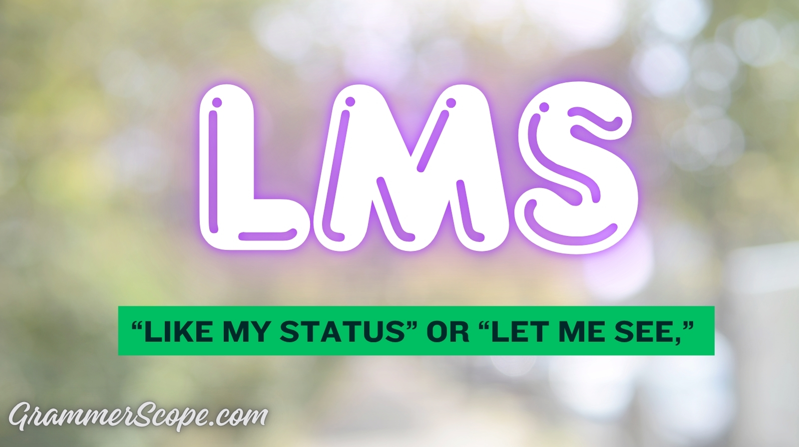 What Does LMS Mean
