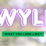 Wyll Meaning
