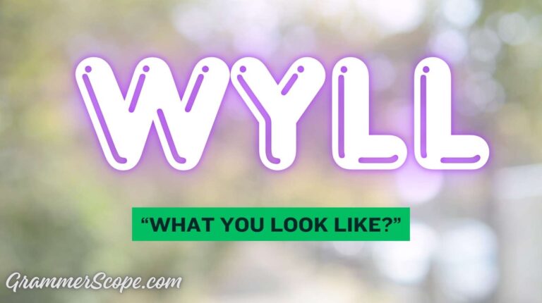 Wyll Meaning