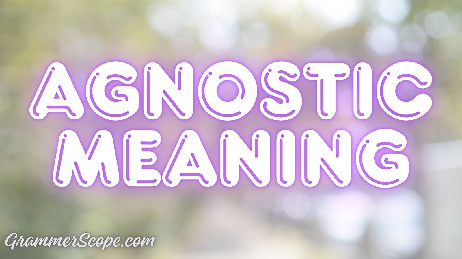 Agnostic Meaning