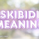 Skibidi Meaning