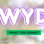 WYD Meaning